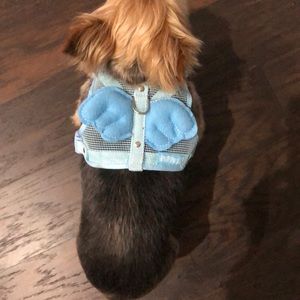NEW Angel dog harnesses / w leash..have 3 sizes